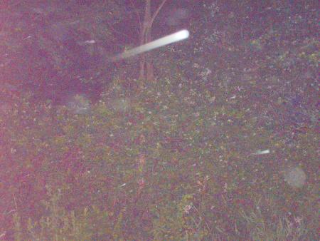 orbs