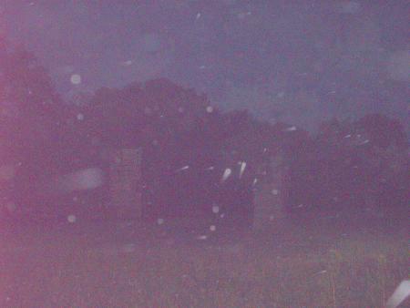 orbs